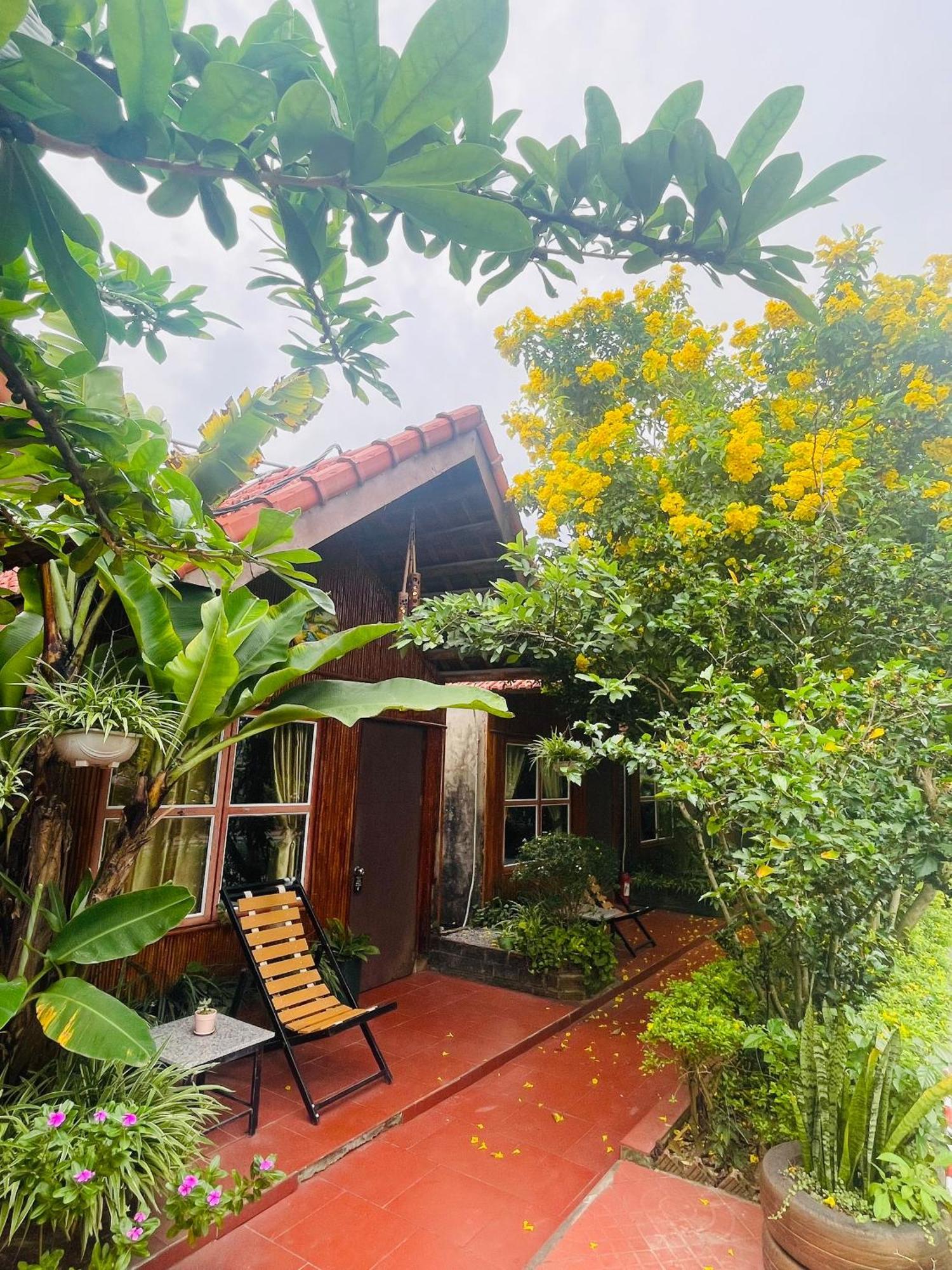 נין בין Tam Coc Garden Homestay מראה חיצוני תמונה