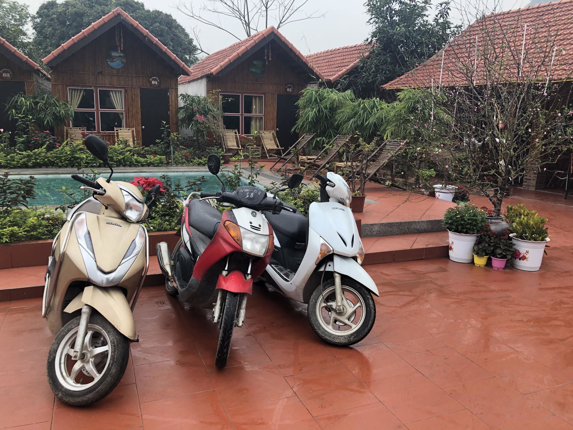 נין בין Tam Coc Garden Homestay מראה חיצוני תמונה