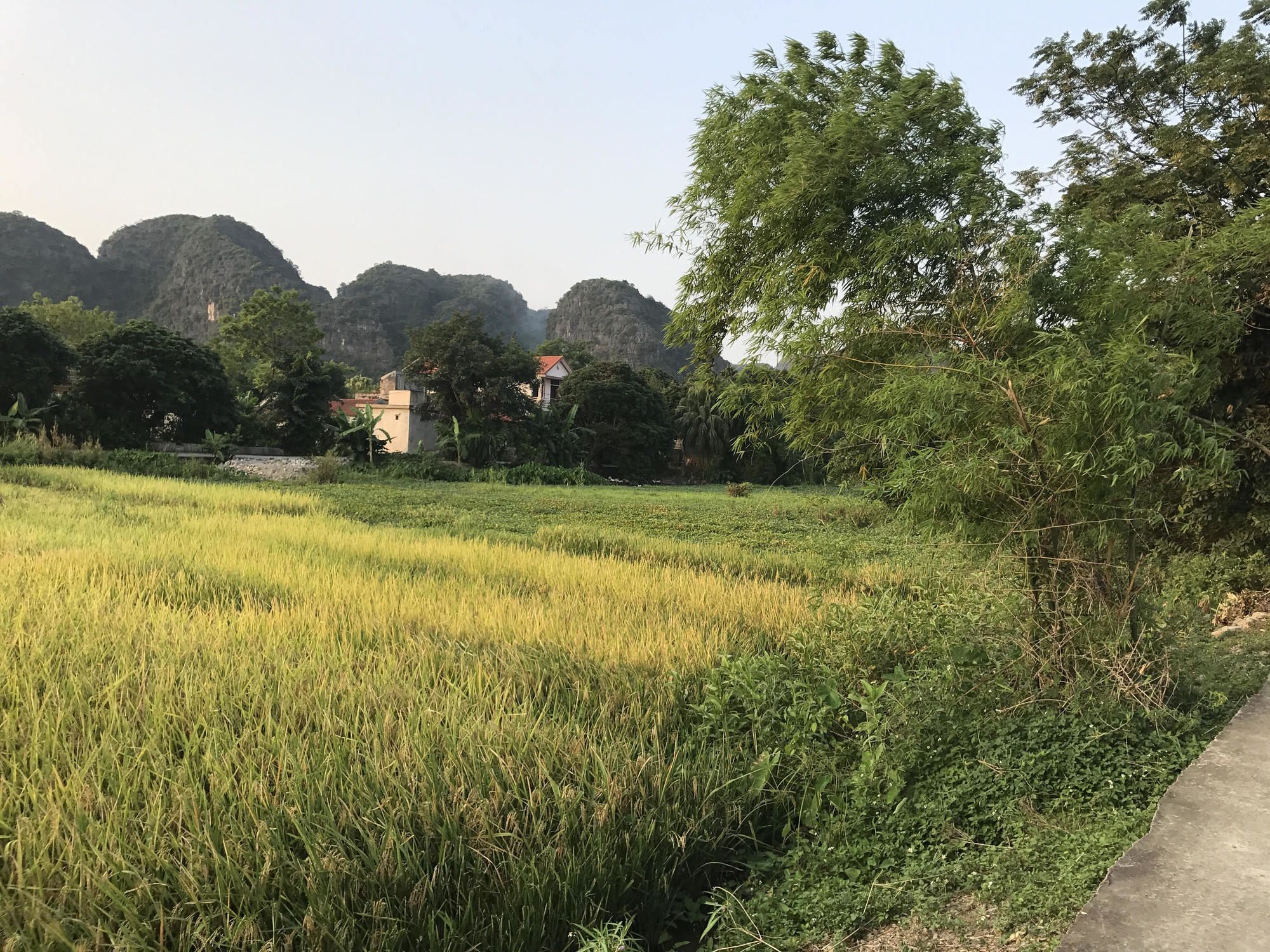 נין בין Tam Coc Garden Homestay מראה חיצוני תמונה