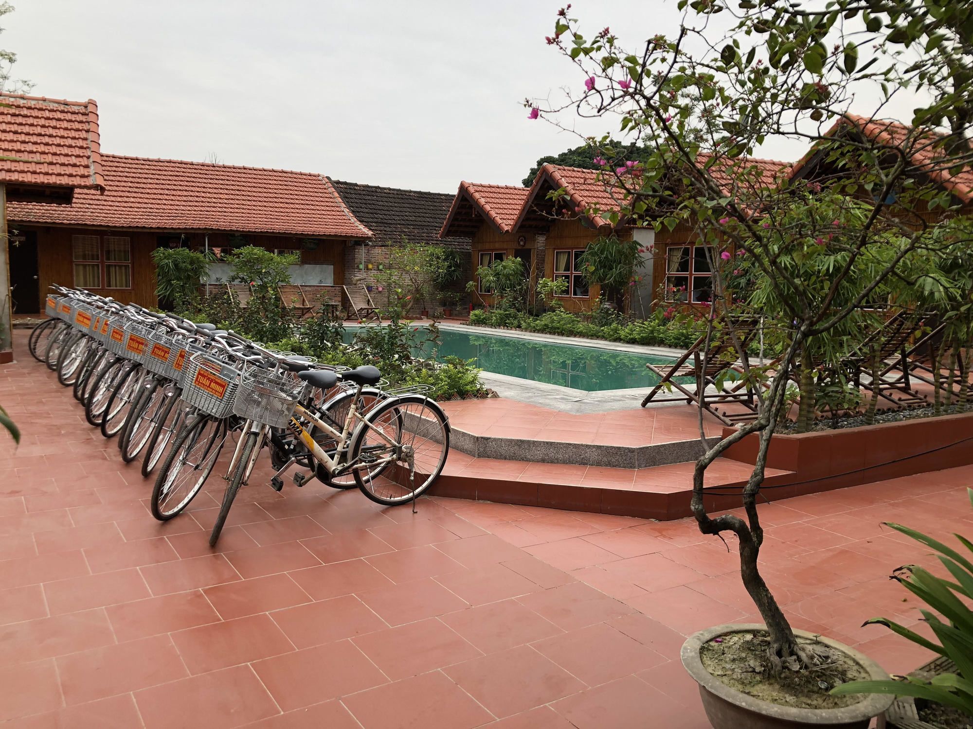 נין בין Tam Coc Garden Homestay מראה חיצוני תמונה