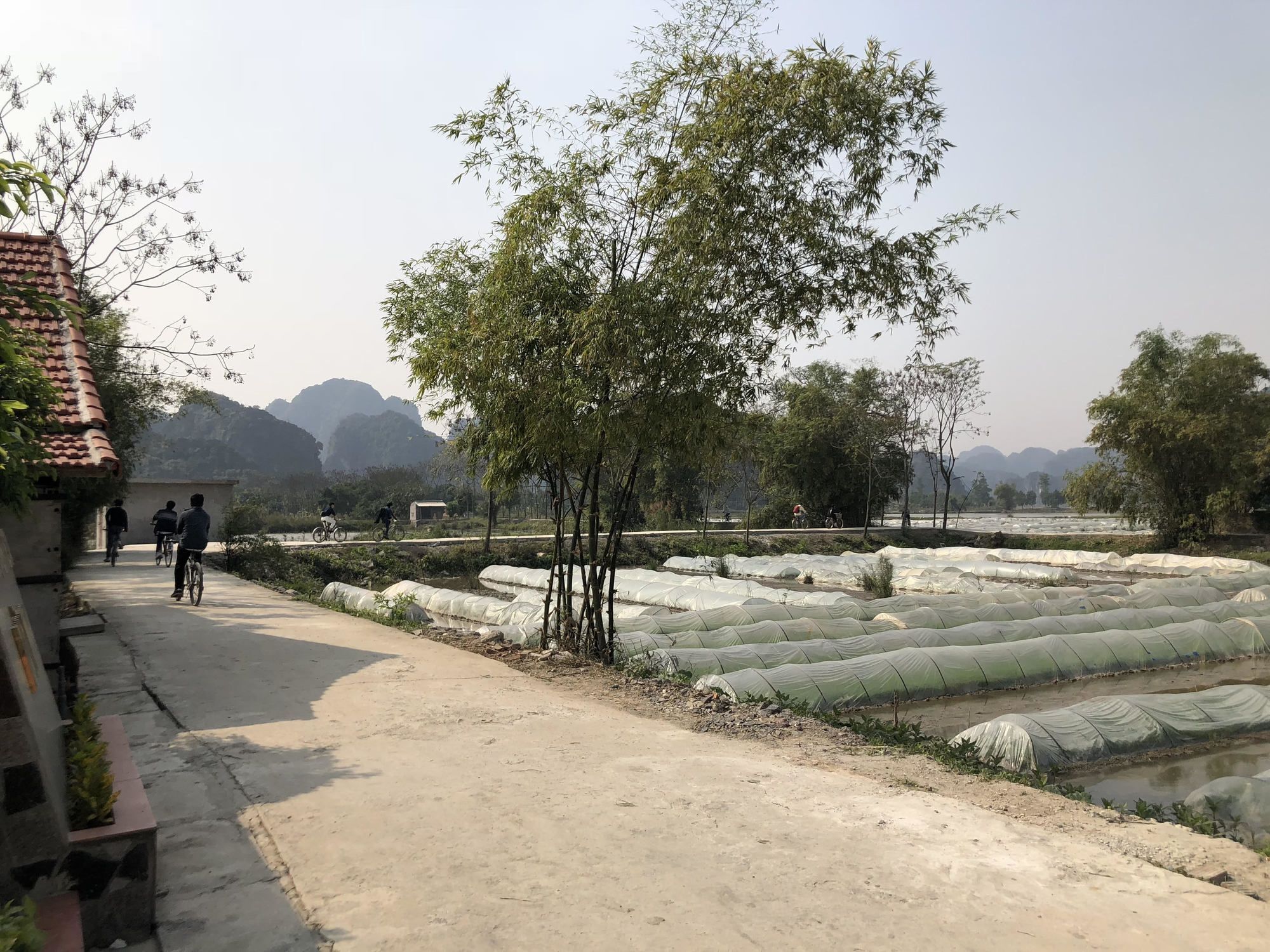 נין בין Tam Coc Garden Homestay מראה חיצוני תמונה