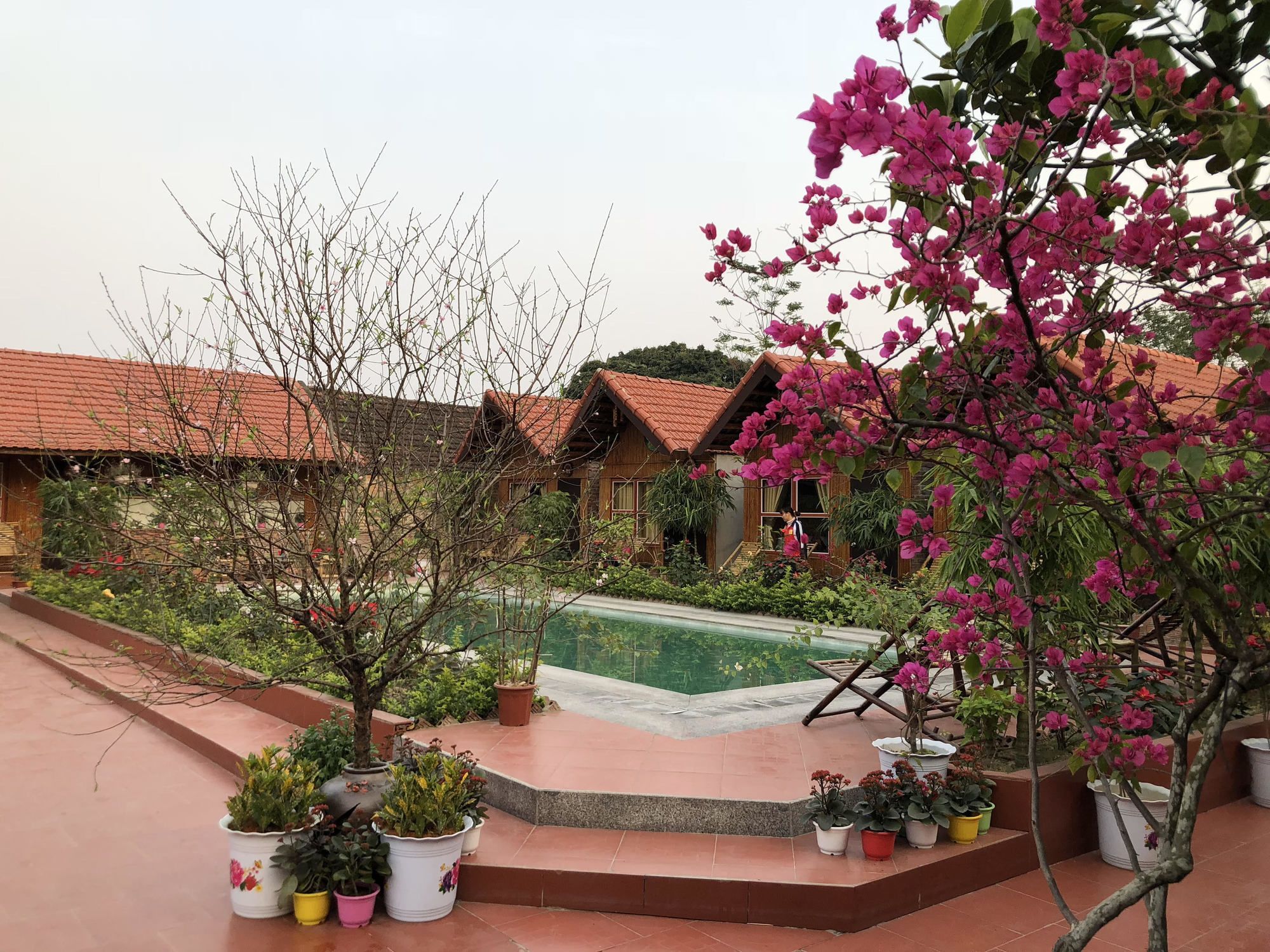 נין בין Tam Coc Garden Homestay מראה חיצוני תמונה