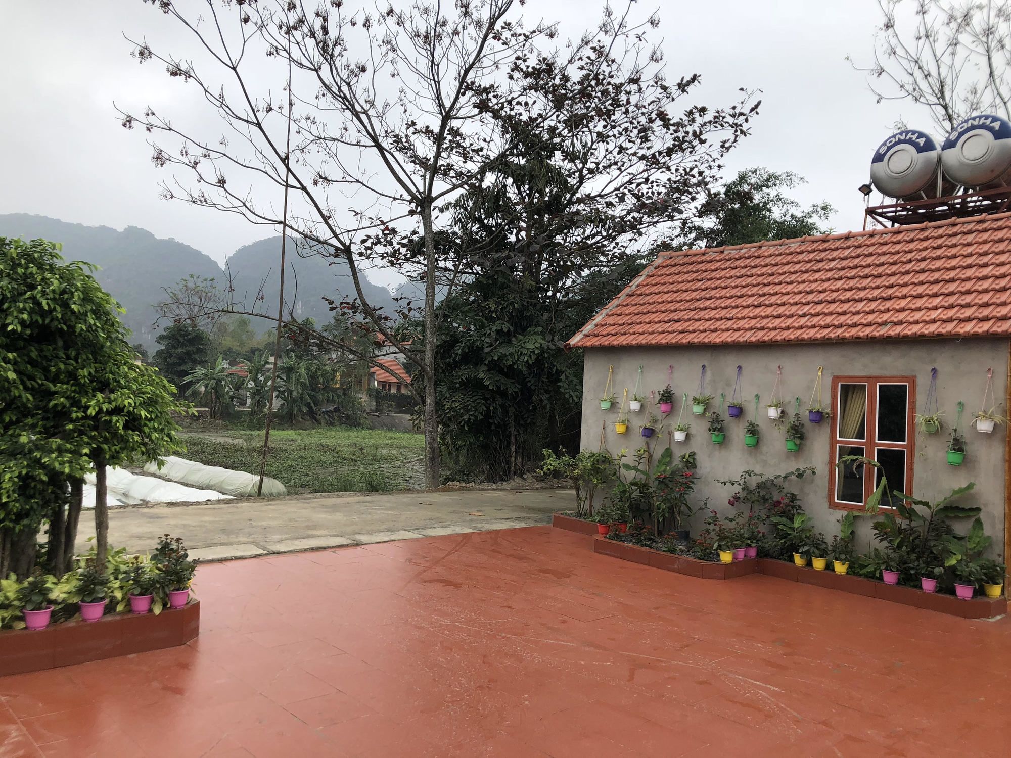 נין בין Tam Coc Garden Homestay מראה חיצוני תמונה